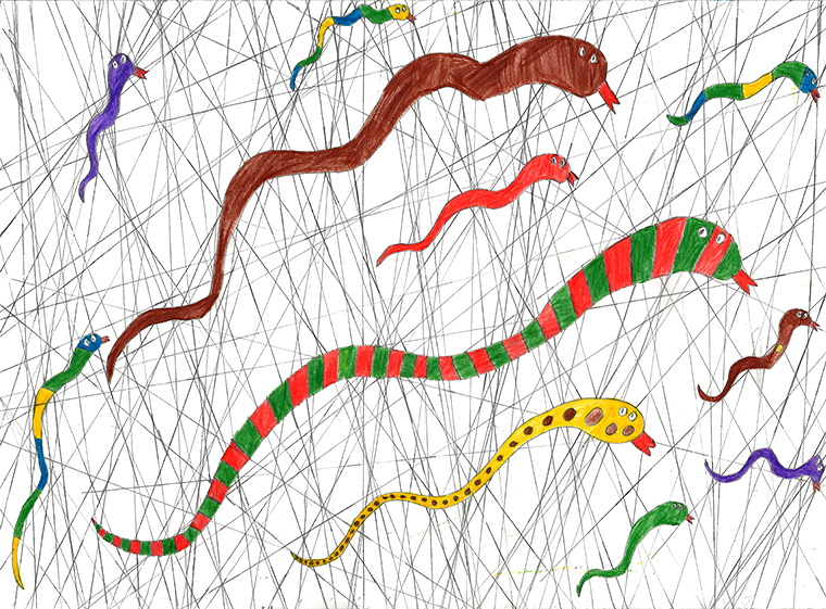 Snakes and Lines