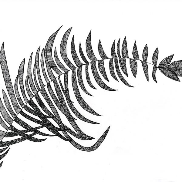 A black and white drawing of a fern frond reaching from left to right 