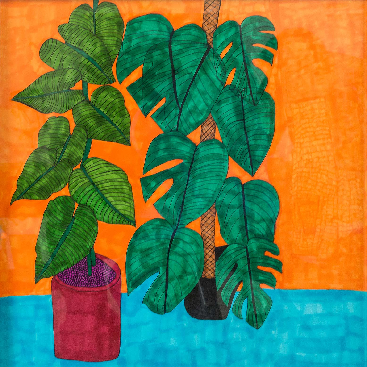 Square artwork of green plant on orange
